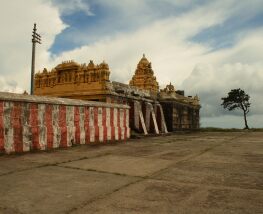 8 Day Trip to Mysore, Ooty, Alleppey, Bandipur from Bhatkal