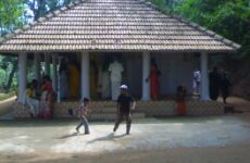 5 days Trip to Munnar, Alleppey, Varkala from Aluva