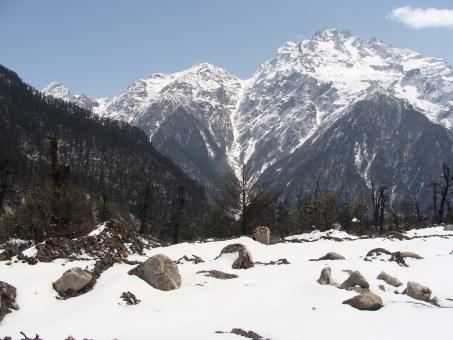 9 Day Trip to Pelling, Gangtok, Lachung, Yumthang from Siliguri