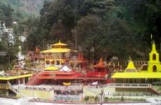 8 Day Trip to Darjeeling, Gangtok, Lachung, Pelling, Yumthang from Pune