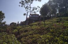 4 Day Trip to Coonoor from Ephrata
