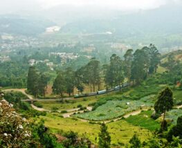 4 Day Trip to Coonoor from Doha