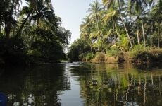 5 Day Trip to Agonda from Bangalore