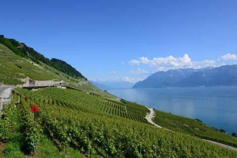 4 days Trip to Montreux from Columbia