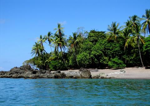 4 Day Trip to Cahuita from Langley
