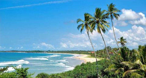 5 Day Trip to Bentota from Madison