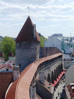 4 days Trip to Tallinn from Trondheim