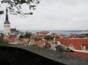 7 days Trip to Tallinn from Berlin