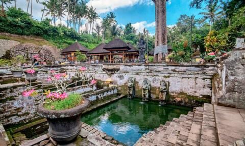 Trip to Bali, Ubud