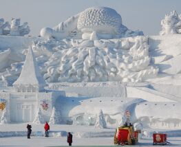 3 Day Trip to Harbin from Evansville