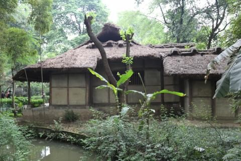 4 Day Trip to Chengdu from Greenwood