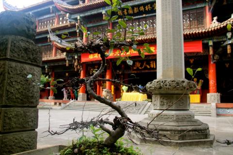 4 Day Trip to Chengdu from Central