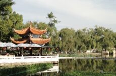 3 Day Trip to Kunming from Phoenix