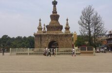 5 Day Trip to Kunming from Bellevue