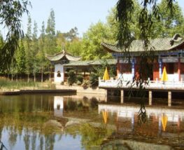 5 days Trip to Kunming from Central