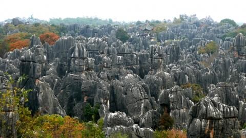 6 Day Trip to Kunming from Inala