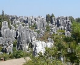 5 Day Trip to Kunming from New York City