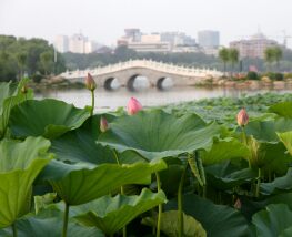 1 Day Sightseeing in Changchun
