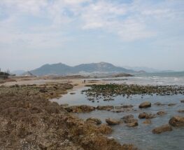 4 days Trip to Qingdao from Poplar