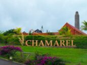  Day Trip to Chamarel
