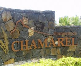 4 days Trip to Chamarel from Lovosice