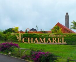 4 days Trip to Chamarel from Montross