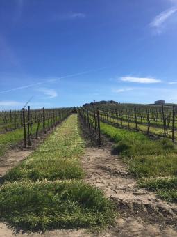 3 Day Trip to Paso robles from Georgetown