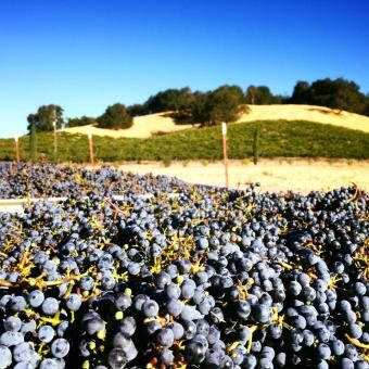 2 Day Trip to Paso robles from San Mateo