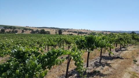 2 days Trip to Paso robles from Clovis