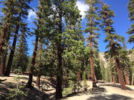3 days Itinerary to Mammoth lakes from San Jose