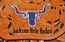 2 days Trip to Jackson hole from Gordon
