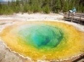 7 Day Trip to Yellowstone national park from Roxboro