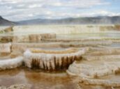 9 Day Trip to Yellowstone national park from Wickenburg