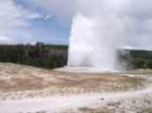 4 days Trip to Yellowstone national park from Houston