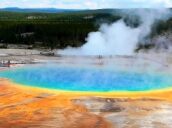 7 Day Trip to Yellowstone national park