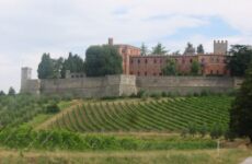 4 Day Trip to Siena from Toa baja