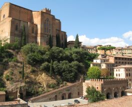 1 Day Trip to Siena from Arezzo