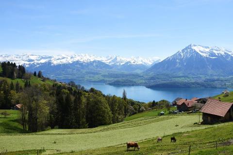 5 days Trip to Interlaken from Zurich