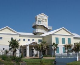 5 Day Trip to South padre island from Keller