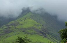 13 Day Trip to Mysore, Ooty, Bandipur, Wayanad, Kozhikode from Bhatkal