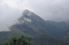 4 Day Trip to Wayanad from Hosur