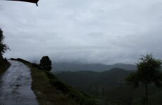 5 days Trip to Ooty, Wayanad 