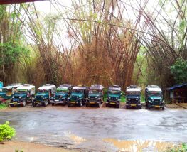 Day Trip to Wayanad from Kozhikode