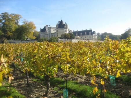 6 days Trip to Carcassonne from Modbury