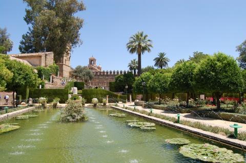 6 Day Trip to Granada, Madrid, Cordoba from Riyadh