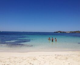 7 Day Trip to Rottnest island from Perth