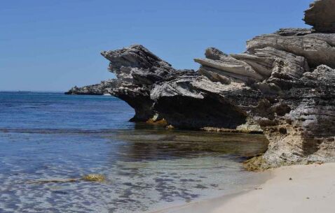 4 days Trip to Rottnest island from Perth