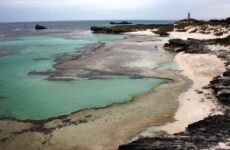 4 Day Trip to Rottnest island from Perth
