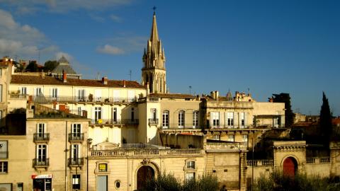  Day Trip to Montpellier