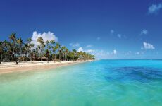 8 Day Trip to Punta cana from Louisburg